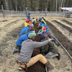 Herbal Hearth IMG 1831 (1)